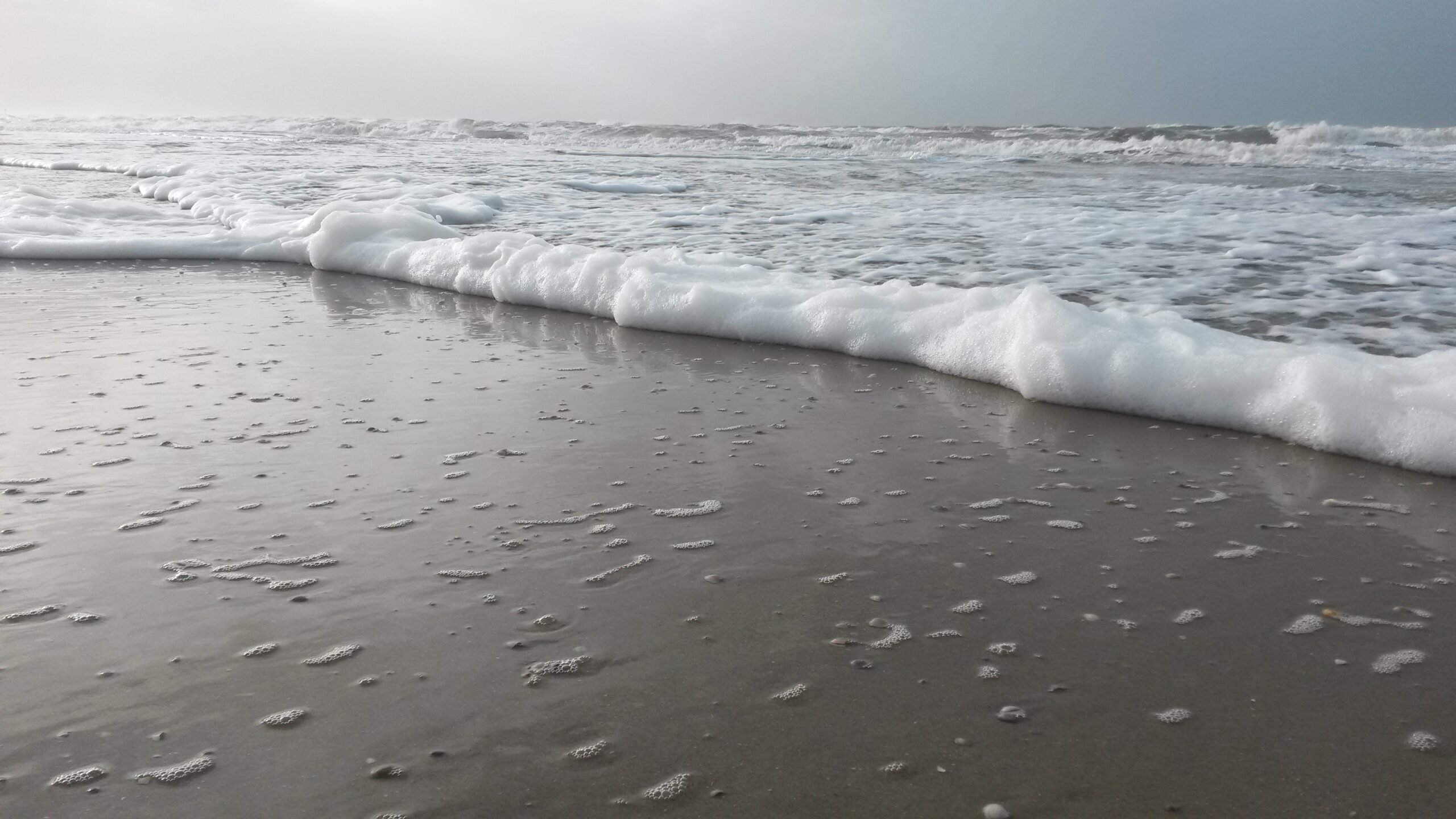 Janneke's Werkplaats Janneke Zonneveld